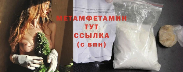 сатива Бородино