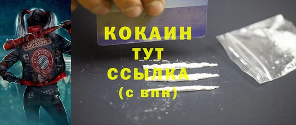 сатива Бородино