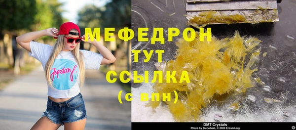 сатива Бородино