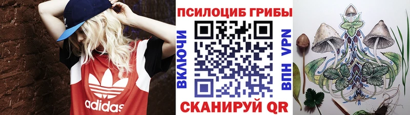 OMG рабочий сайт  Исилькуль  Галлюциногенные грибы Magic Shrooms  где можно купить наркотик 